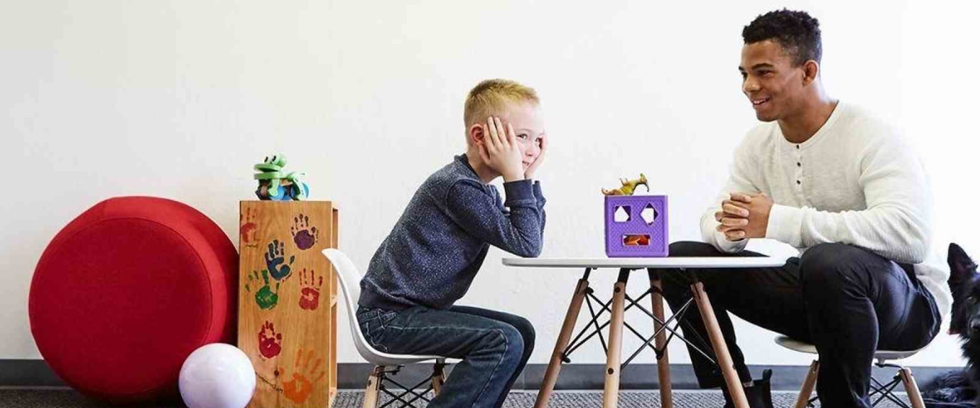 Understanding Behavioral Disorders Certification